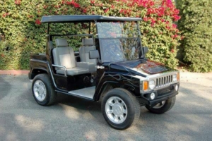affordable golf cart rental, golf cart rent Provincetown, ptowngolfcartrental golf cart rental